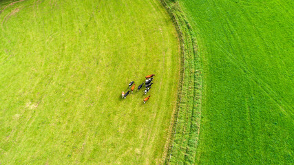 Bird's eye view of lake and forest taken by drone