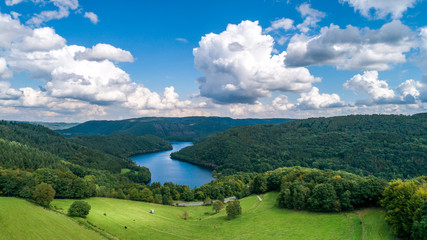 Bird's eye view of lake and forest taken by drone