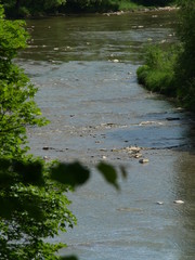 OLYMPUS DIGITAL CAMERA 4