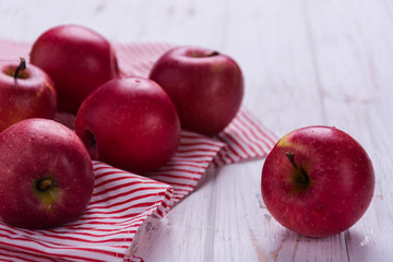 Freshly harvested apples