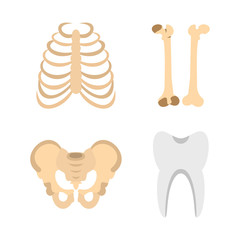 Human bones icon set, flat style