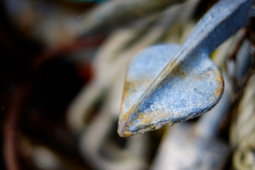 Detail aus dem Fischerhafen