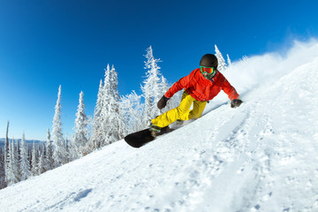 Very fast snowboarder slides at ski slope - obrazy, fototapety, plakaty