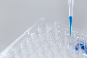 Chemical analysis  in Lab.