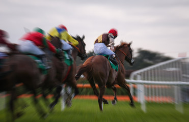 Motion blur of Galloping racehorses racing down the track