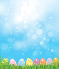 Vector Easter eggs in green  grass,   Easter background.