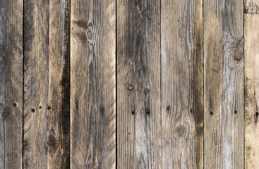 Wooden background texture