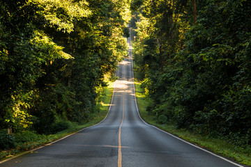 down and up hill road cut through tropical forest in Thailand © Soonthorn Kittikarn