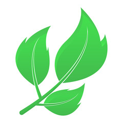Green leaves. Eco friendly symbol