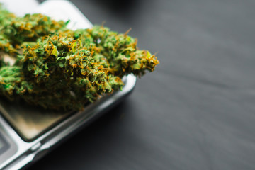 Macro of cannabis marijuana weed flowers with trichomes on scales