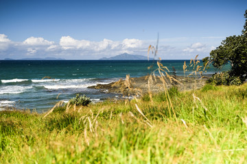 Waipu Beach North Island, New Zealand