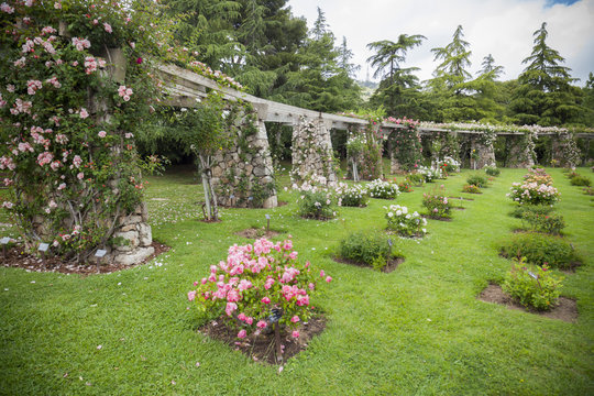 Park Cervantes,rose garden,Barcelona.
