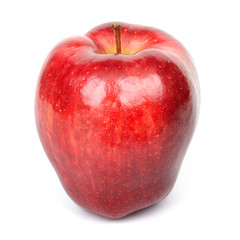 Apple red chief