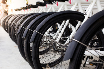 Many of white-black bicycles parking line up