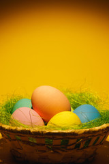Colorful pastel monophonic traditional painted Easter eggs in basket with green grass on dark yellow background with black shadows, silhouette, light. Copy space for advertisement. With place for text