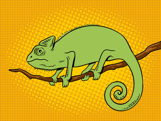 Chameleon animal color pop art vector illustration