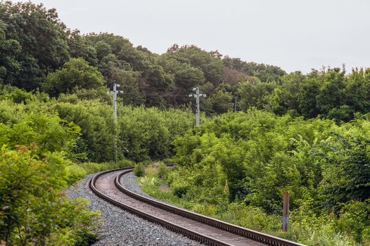 Single-track railway turns among green trees