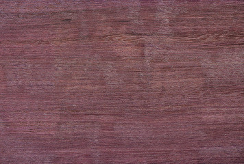 Fototapeta premium purple tree background texture