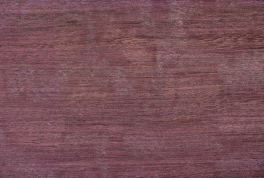 purple  tree background texture