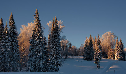 Russia. The South Of Western Siberia. Frosty dawn in Mountain Shoria.