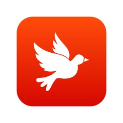  Dove icon digital red