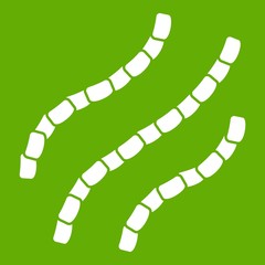 Fototapeta premium Escherichia coli icon green