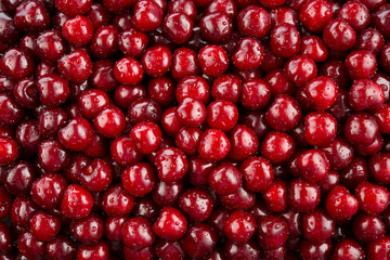 Cherries background. Cherry with drops. Food background.