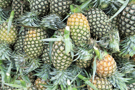 Pile of fresh pineapples in asian market