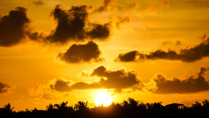 Obraz na płótnie Canvas Golden Sunset