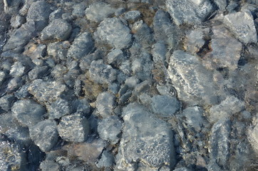 Stones in river