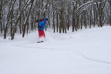 Snowboarder is riding in a deep snow, along the forest slope