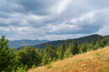 Obraz premium Mythical landscape of mountain valley with fir trees, path and cloudy rain sky
