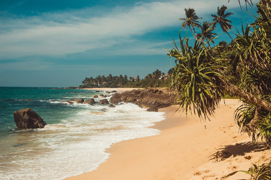 Indian Ocean Coast with stones and pandanus trees. Tropical vacation, holiday background. Wild deserted untouched beach. Paradise idyllic landscape. Travel concept. Sri Lanka eco tourism. Copy space