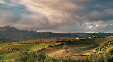 Naklejka premium Typowa ziemia uprawna w głębi Sycylii. Prowincja Enna, Sycylia, Włochy.