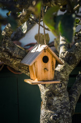 Bird House