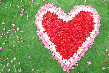 Beautiful flowers heart shape - Valentine's day background