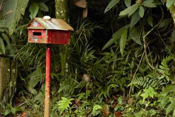 Caixa de correio usada como decoração no meio da mata.
