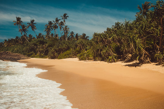 Ocean Coast with pandanus and coconut palm trees. Tropical vacation, holiday background. Wild deserted untouched beach. Paradise idyllic landscape. Travel concept. Sri Lanka eco tourism. Copy space