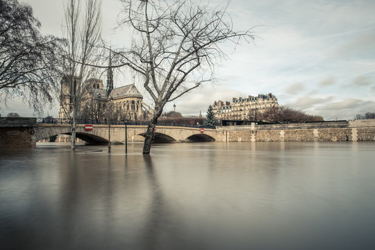 inondation crue eau seine montée paris inonder notre dame france hiver 2018