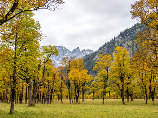 Obraz premium Österreich - Tirol - Großer Ahornboden