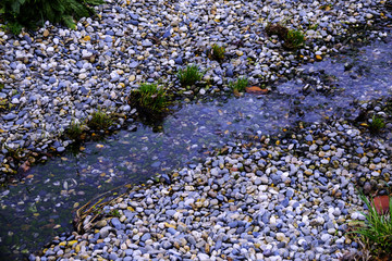 The stream runs along small multicolored stones.