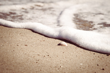Soft wave of the sea on sandy beach with shells