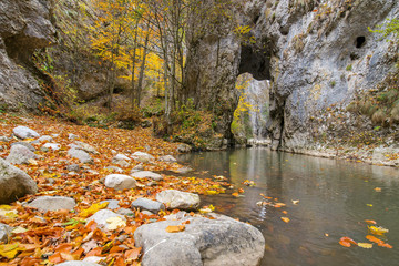 Small mountain river with rocks floating through a cave, covered with bright yellow, red, orange autumn leaves deep in the forest. Cliffs in Cheile Rametului, Romania. Beautiful  nature background.