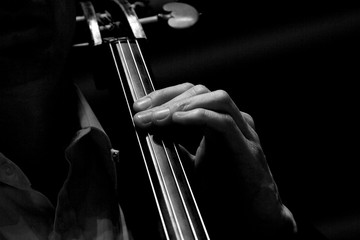 cello with fingers  © Steven