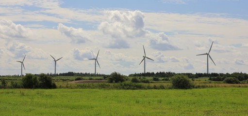 Windmills and green meadow in northern Denmark. Scene near Gottrup.