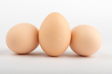 chicken egg on white background