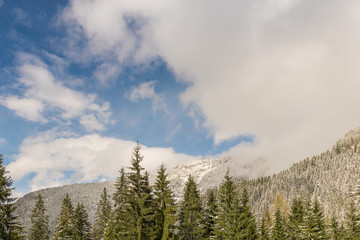 Berge mit Bäumen und Schnee in den Berchtesgadener Alpen im Frühling