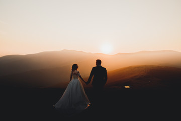 Happy beautiful wedding couple bride and groom at wedding day outdoors on the mountains rock. Happy...