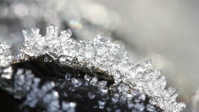Macro time lapse of melting hoarfrost particles. Majestic beauty of springtime transformation in wildlife nature. Melting Snow. Melting Ice. Melting Iceberg. Global Warming Effect.