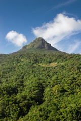 Fototapeta na wymiar Sri Lanka. A view from below to Adam Peak. Mountain covered with greenery